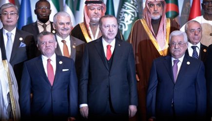 Турция объединится с&nbsp;другими странами в&nbsp;ВТО&nbsp;против США