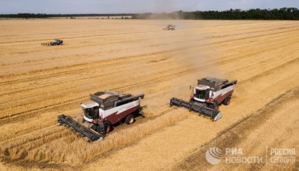 Почему Россия привлекает белых фермеров из ЮАР