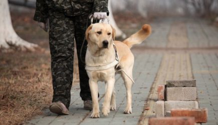 «ЕР» требует усилить ответственность за ущемление прав инвалидов