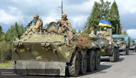 &#171;Огромный позор&#187;: ВСУ втайне покупают оружие у ополченцев Донбасса, исполняя приказы Порошенко