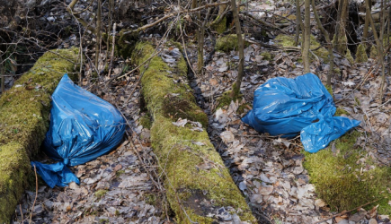 Новое «отравление Скрипаля»: шпионы пытали и расчленили журналиста