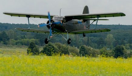 Ан-2 с 11 пассажирами жестко сел в лесу под Архангельском