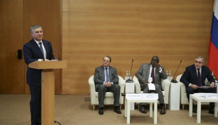 Володин предложил провести конференцию парламентариев России и Африки