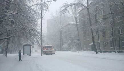 Москвичам рассказали, когда придет настоящая зима