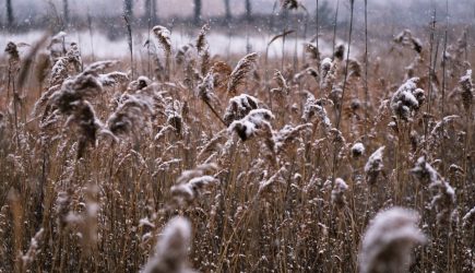 Мороз и солнце: аномально холодная погода установилась в России