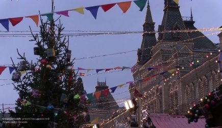 Стало известно, какая погода ждет россиян на Новый год