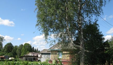 В России могут полностью исчезнуть дачи