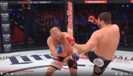 В Сети появилось видео жесткого удара в пах Харитонову на турнире Bellator 215