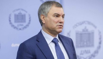 Володин поручил подготовить обращение к Медведеву по вопросу реализации госпрограмм и нацпроектов