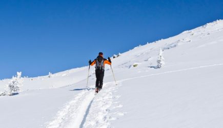 В трагедии группы Дятлова нашли радиоактивный след