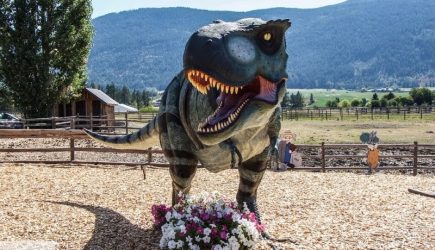 Путешественник во времени показал фото динозавра, сделанное 66 миллионов лет назад