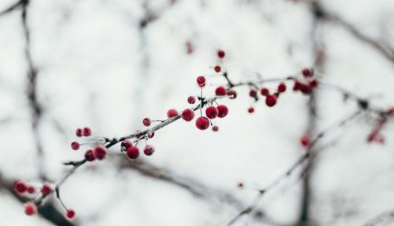 Похолодание до минус 12 градусов ожидает россиян на этой неделе