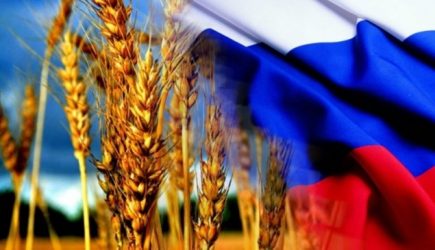 &laquo;Вместо НАТО — союз с Россией&raquo;: в Германии призвали распустить альянс