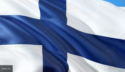 Минсельхоз Финляндии запретил импорт и продажу шиповника с 1 июня 