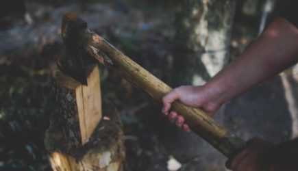 Жители села под Пензой устроили сход после массовой драки с цыганами