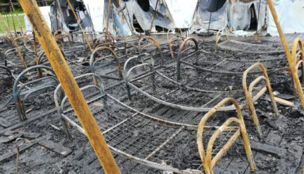 Выживший ребенок из лагеря «Холдоми» рассказал леденящие душу подробности о пожаре