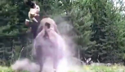 Нападение разъяренного бизона на девочку попало на видео
