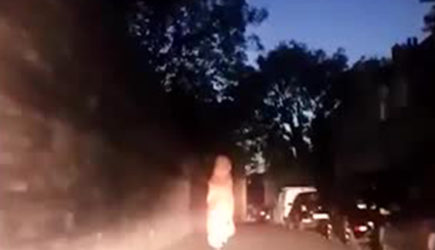 Погоня хохочущих полицейских за &laquo;динозавром&raquo; попала на видео