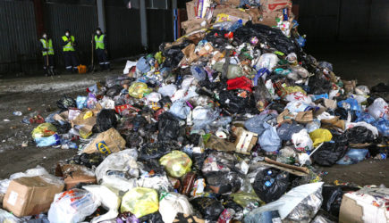 В Петербурге активизировали борьбу со свалками