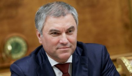 Володин возглавил попечительский совет ВГИК