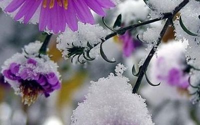 Синоптики предупреждают о снеге в выходные