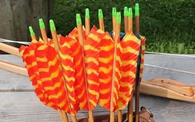 Россиянам разрешили новое оружие