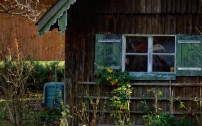 Власти обновили &laquo;дачную амнистию&raquo; для россиян