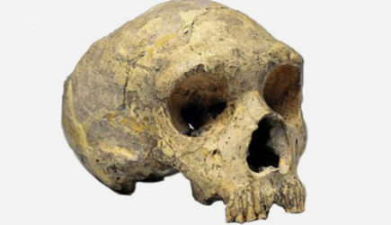 Раскрыто происхождение загадочных древних людей