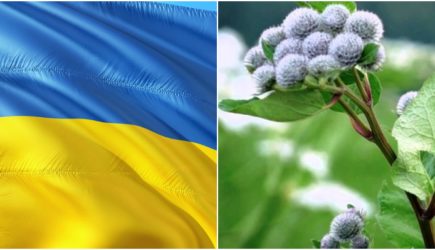 Сатановский сравнил Украину с «репейником на хвосте» мировой политики