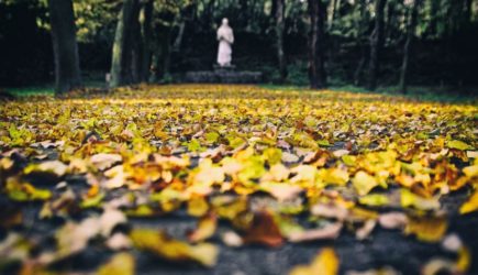 Повышение зарплат и снижение налогов ждет россиян с 1 октября