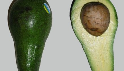 Ученые доказали вред авокадо