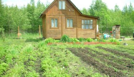 Это лежало в кровати: петербуржец пожалел, что приехал на дачу