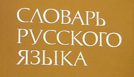 В Турции поразились длинным русским словам