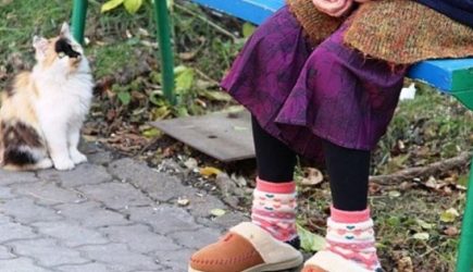 Пенсионный возраст в России понизят