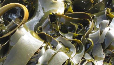 «Советский» деликатес спасет от заражения COVID-19