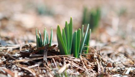 День Фотинии Колодезницы: что нельзя делать 2 апреля