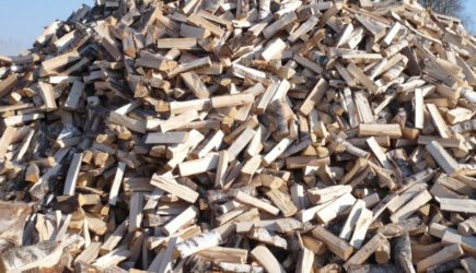 На фото есть кот, но не всем удается найти его за 15 секунд