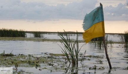 Корнейчук назвал украинцев элитными рабами Евросоюза