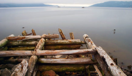 Путина нет &ndash; земля ничья: Китай ждёт своего часа