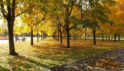 «Будет бабье лето»: синоптики рассказали о погоде в октябре