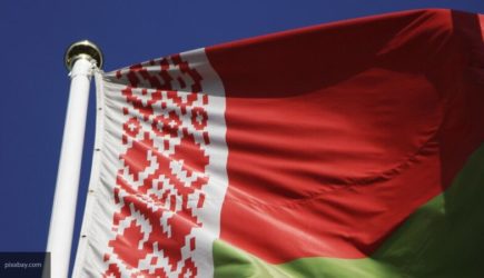 Посол РФ: передача 32 россиян состоялась в строгом соответствии с нормами