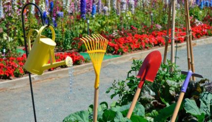 Календарь садовода на сентябрь 2020