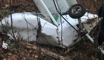 Названы четыре версии причин падения самолета в Пензенской области