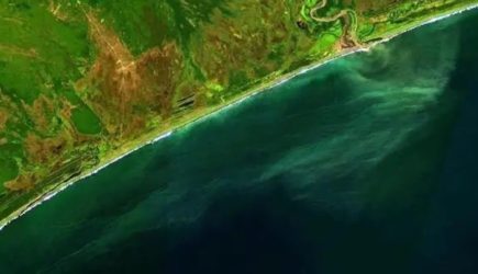 Экологическая беда на Камчатке: берег усыпан трупами мертвых животных