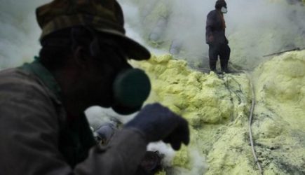 Вот это похоже на правду: как появился COVID