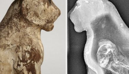 Вы остолбенеете: что показал рентген мумий египетских животных