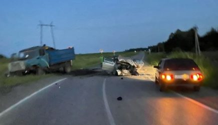 Под Пермью в ДТП погибла семейная пара, у которой осталось четверо детей