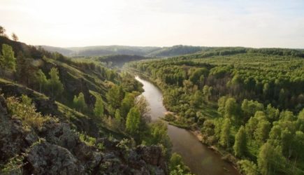 В поисках хозяина леса в России смотрят не туда – мнение