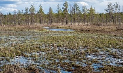 В ХМАО в болото упал гидросамолет