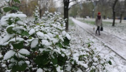 Впереди суровая тяжелая зима